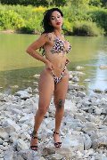 Foto Immagine Adriana Paulett Trans Paese 3891399263 - 81
