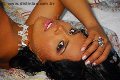 Foto Immagine Ale Ribeiro Trans San Paolo 005511957904316 - 206