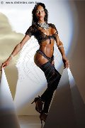Foto Immagine Alessandra La Gatta Nera Transescort Vercelli 3488811524 - 114