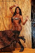 Foto Immagine Alessandra La Gatta Nera Transescort Vercelli 3488811524 - 47