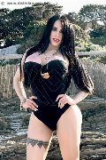 Foto Immagine Alessandre Xxii Trans Gallarate 3317852006 - 58