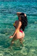 Foto Immagine Alessandre Xxii Trans Gallarate 3317852006 - 39