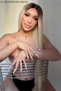 Foto Immagine Angel Bunny Trans Verona 3474642611 - 1