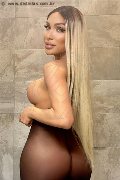 Foto Immagine Angel Bunny Trans Verona 3474642611 - 2