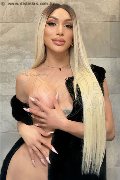 Foto Immagine Angel Bunny Trans Verona 3474642611 - 3
