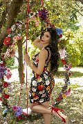 Foto Immagine Ariadna Transescort Bologna 3887519396 - 74