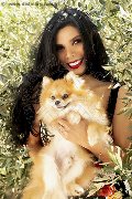 Foto Immagine Ariadna Transescort Bologna 3887519396 - 76