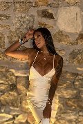 Foto Immagine Arianna Ferrari Pornostar Trans Roma 3896178417 - 9