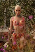 Foto Immagine Ath�na Transescort Milano 3270729765 - 2