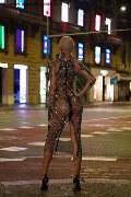 Foto Immagine Ath�na Transescort Milano 3270729765 - 16