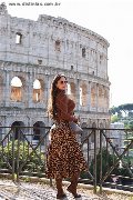 Foto Immagine Bely Trans Conegliano 3445717583 - 28