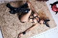 Foto Immagine Bruna Mor Transescort Roma 3510998222 - 28