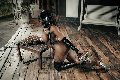 Foto Immagine Campbell Trans Roma 3933357541 - 146