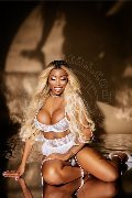 Foto Immagine Campbell Transescort Roma 3933357541 - 103