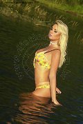 Foto Immagine Chanelle Trans Noventa Di Piave 3420016967 - 166