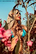Foto Immagine Chrystal Medeiros Pornostar Transescort Roma 3898313619 - 35
