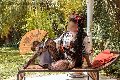 Foto Immagine Diana Ferraz Trans Firenze 3271287566 - 91