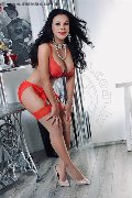 Foto Immagine Elena Transescort Pordenone 3272610799 - 112
