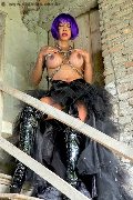 Foto Immagine Erotika Flavy Star Trans Bergamo 3387927954 - 56