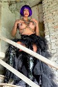 Foto Immagine Erotika Flavy Star Trans Bergamo 3387927954 - 57