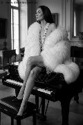 Foto Immagine Gabriella Rodriguez Trans Forte Dei Marmi 3806395947 - 18