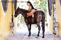 Foto Immagine Gabriella Xxl Brasile Transescort Milano 3292213799 - 70