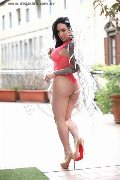 Foto Immagine Gaby Manzini Transescort Milano 3931497296 - 327