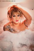 Foto Immagine Gaja Trans Ibiza 0034674836068 - 39