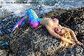 Foto Immagine Gaja Trans Ibiza 0034674836068 - 17
