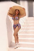 Foto Immagine Gaja Trans Ibiza 0034674836068 - 3