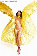 Foto Immagine Hot Channel Trans Pavia 3384097317 - 2