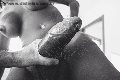 Foto Immagine Hot Paula Xxl Trans Cannes 3762961336 - 3