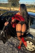 Foto Immagine Jennifer Anguria Pornostar Transescort Bari 3499398298 - 167