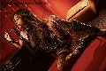 Foto Immagine Jennifer Only Transescort Brescia 3384041517 - 23