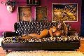 Foto Immagine Jessica Aryani Trans Trieste 3932507943 - 23