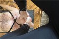 Foto Immagine Julia Mistress Cuneo 3762329100 - 13