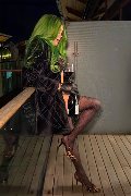 Foto Immagine Kika Doncato Trans Bologna 3937317905 - 24