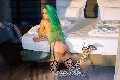 Foto Immagine Kika Doncato Trans Bologna 3937317905 - 27