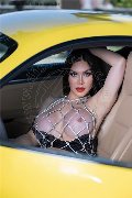 Foto Immagine Kim Tifany Transescort Amsterdam 3447063881 - 1