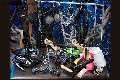 Foto Immagine Lady Carolina Mistresstrans 3278147101 - 17