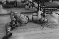 Foto Immagine Lady Kika Doncato Mistresstrans Verona 3937317905 - 6