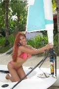 Foto Immagine Liisa Asiatica Ladyboy Transescort 3489026722 - 372