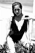 Foto Immagine Liisa Asiatica Ladyboy Transescort 3489026722 - 374