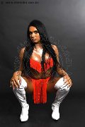 Foto Immagine Loren Trans Pesaro 3890085359 - 17