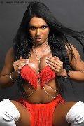 Foto Immagine Loren Trans Pesaro 3890085359 - 18