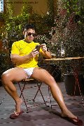 Foto Immagine Lucca Xl Boy Viareggio 3294584581 - 38
