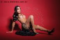 Foto Immagine Luisa Kynnolly Transescort Milano 3520902031 - 102