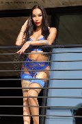 Foto Immagine Mariana Ferraz Transescort Torino 3461274809 - 46