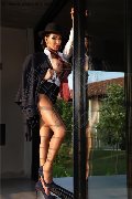 Foto Immagine Mariana Ferraz Transescort Torino 3461274809 - 41
