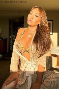 Foto Immagine Miss Isabella Transescort 3445148792 - 15